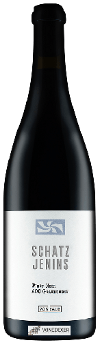 Domaine Von Salis - Schatz Jenins Pinot Noir