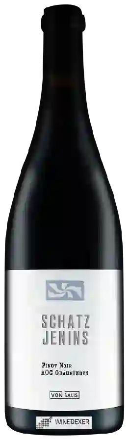 Domaine Von Salis - Schatz Jenins Pinot Noir Domaine Von Salis - Schatz Jenins Pinot Noir