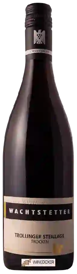 Domaine Wachtstetter - Trollinger Steillage Trocken Domaine Wachtstetter - Trollinger Steillage Trocken