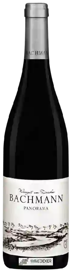 Domaine Weingut am Zürichsee Bachmann - Panorama Rot