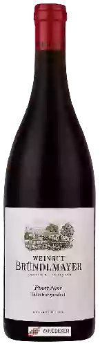 Domaine Weingut Bründlmayer - Pinot Noir