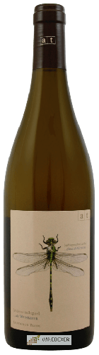 Winery Weingut In Glanz Andreas Tscheppe - Green Dragonfly Sauvignon Blanc Winery Weingut In Glanz Andreas Tscheppe - Green Dragonfly Sauvignon Blanc