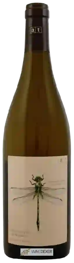 Domaine Weingut In Glanz Andreas Tscheppe - Green Dragonfly Sauvignon Blanc