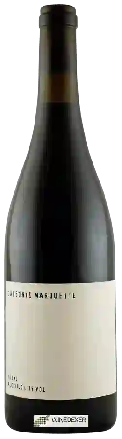 Domaine Wild Arc Farm - Carbonic Marquette