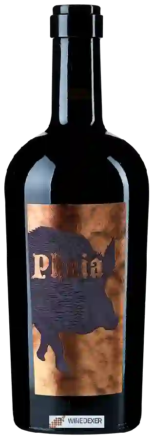Domaine Villa Wolf - Phaia
