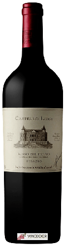 Domaine Zanini - Castello Luigi Rosso del Ticino