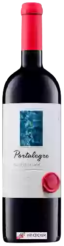 Adega de Portalegre Winery - Portalegre DOC Tinto