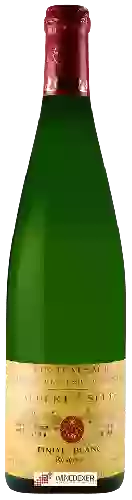 Bodega Albert Seltz - Pinot Blanc Réserve