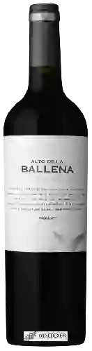 Bodega Alto de la Ballena - Merlot Reserva