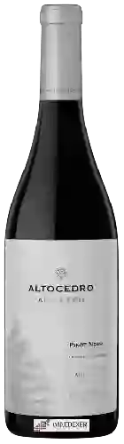 Bodega Altocedro - Año Cero Pinot Noir