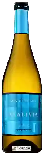 Bodega Analivia - Sauvignon Blanc