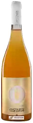 Bodega Anatolikos - Natural Orange Wine