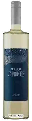 Bodega Andeluna - Edición Limitada Torrontés