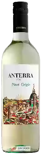 Bodega Anterra - Pinot Grigio