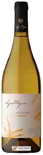 Bodega Apaltagua - Gran Verano Chardonnay
