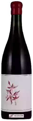 Bodega Arnot-Roberts - Coastlands Vineyard Pinot Noir