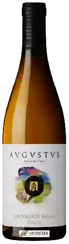 Bodega Avgvstvs - Sauvignon Blanc