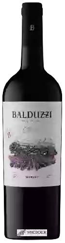 Bodega Balduzzi - Classic Merlot