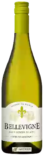 Bodega Bellevigne - Sauvignon Blanc