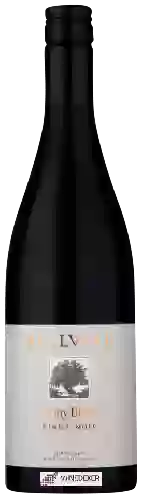 Bodega Bellvale - Stony Block Pinot Noir