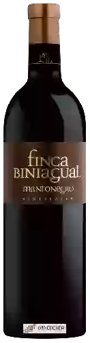 Bodega Biniagual - Finca Biniagual MantoNegro