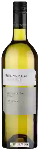 Bodega Binyamina - Binyamina Reserve Sauvignon Blanc ( בנימינה רזרב סוביניון בלאן )