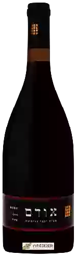 Bodega Binyamina - The Chosen Ruby Syrah ( אבני החושן  אודם יין אדום יבש )
