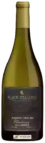 Bodega Black Stallion - Poseidon Vineyard Limited Release Chardonnay