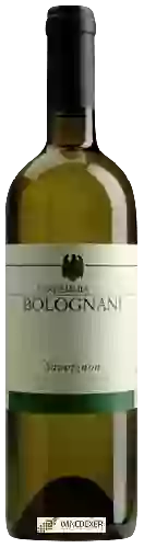 Bodega Bolognani - Sauvignon