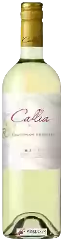 Bodega Callia - Alta Chardonnay - Torrontés