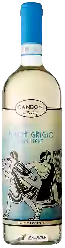 Bodega Candoni - Pinot Grigio