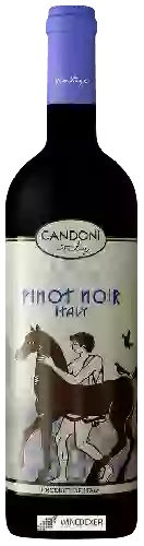 Bodega Candoni - Pinot Noir