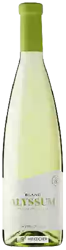 Bodega Castelo Vins - Alyssum Blanc