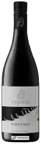 Bodega Cecilia - Pinotage