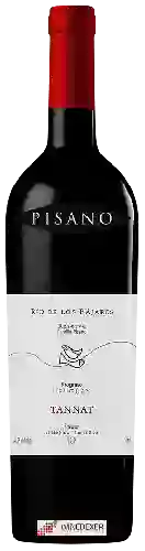 Bodega Pisano - Río de Los Pájaros Reserve Tannat