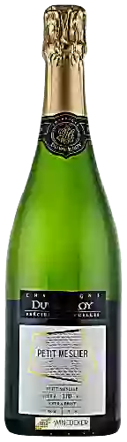 Bodega Duval-Leroy - Précieuse Parcelle Petit Meslier Extra Brut Champagne