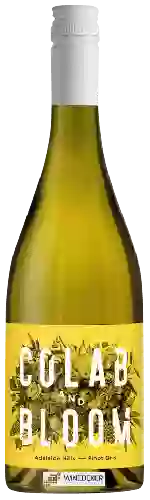 Bodega Colab and Bloom - Pinot Gris