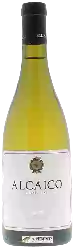 Bodega Collina Delle Fate - Alcaico Chardonnay