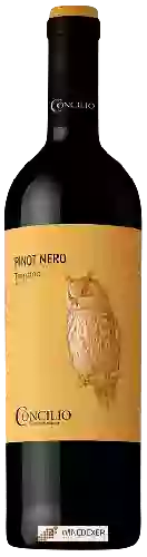 Bodega Concilio - Nativi Trentino Pinot Nero