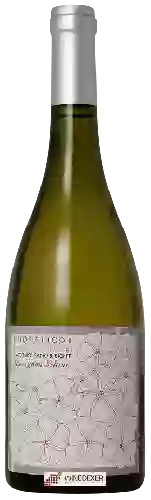Bodega Coquelicot - Sauvignon Blanc