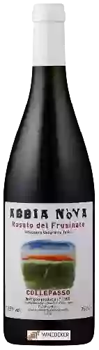 Bodega Costa Graia - Abbia Nòva Rosato del Frusinate Collepasso