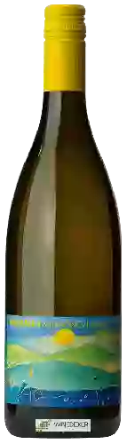 Bodega Weingut Hermann - Sauvignon Blanc