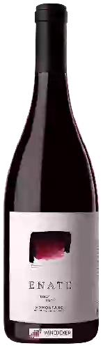 Bodega Enate - Uno Tinto