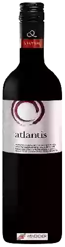 Bodega Argyros - Atlantis Red