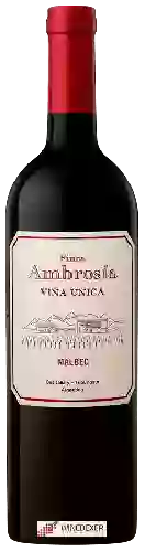 Bodega Finca Ambrosia - Viña Unica Malbec