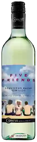 Bodega Five Friends - Sauvignon Blanc - Sémillon