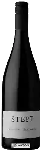 Bodega Stepp - Buntsandstein Pinot Noir