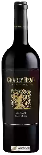 Bodega Gnarly Head - Merlot