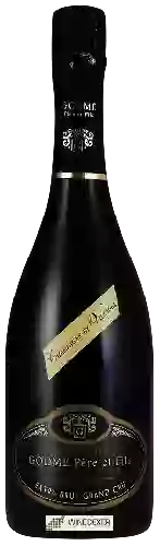 Bodega Godmé Père et Fils - Extra Brut Champagne Grand Cru 'Verzenay'