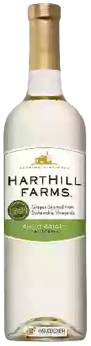 Bodega Harthill Farms - Pinot Grigio